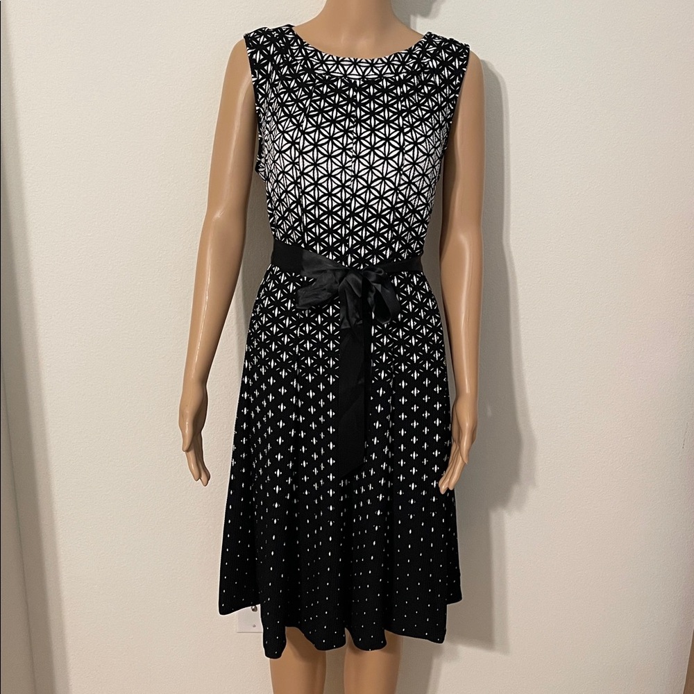 NWT Haani Stretch Knit Sleeveless Print Dress